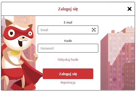 Super-Cat-formularz-wejściowy-1